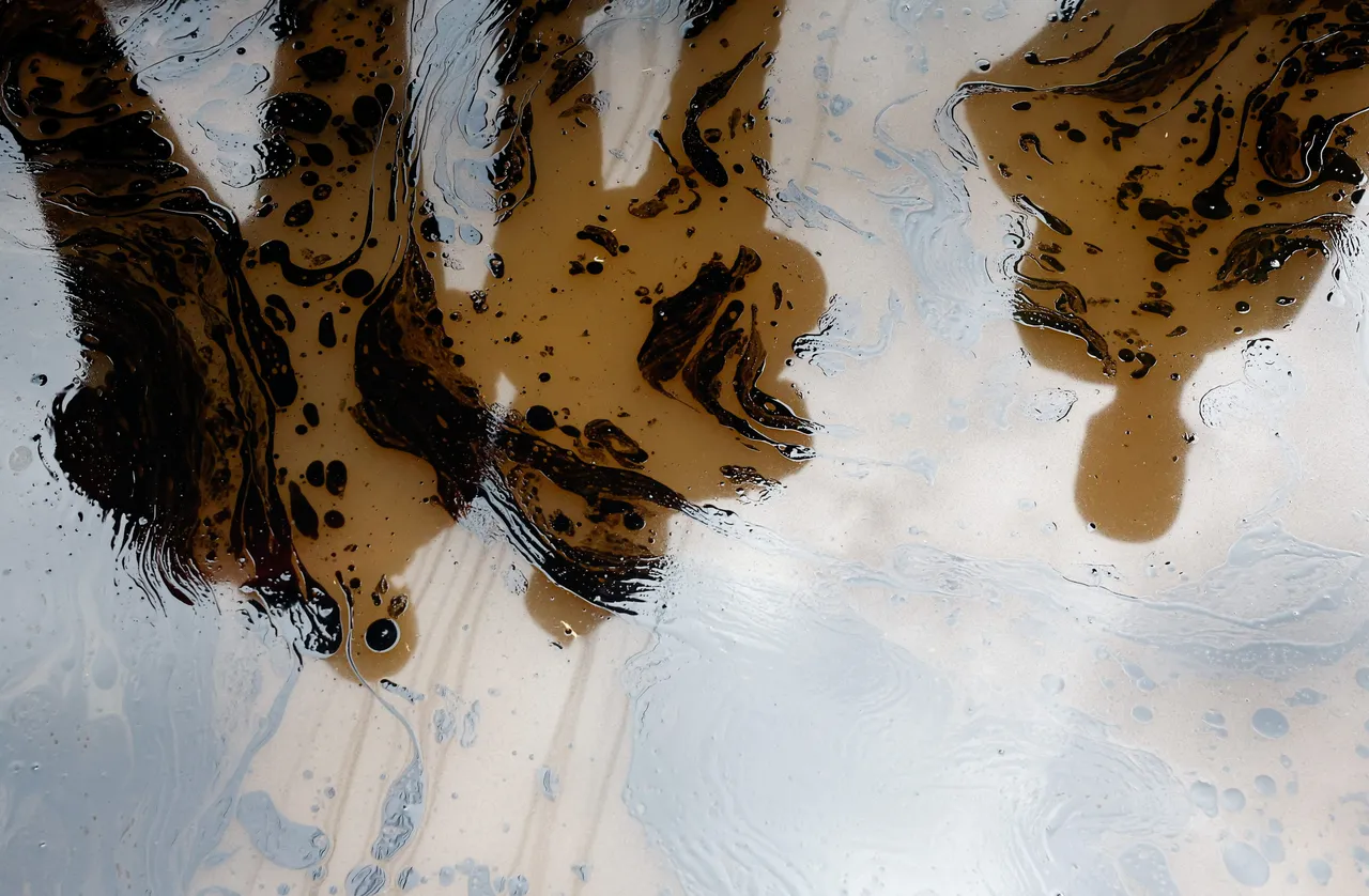 Tullantı yağlarının səbəb olduğu ekolojik təhlükə