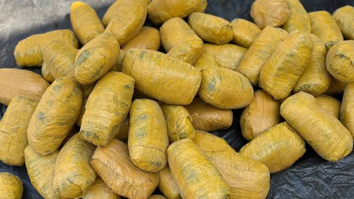 NDLEA ta kama wani tsohon kansila da kilo 40 na tabar wiwi a Legas