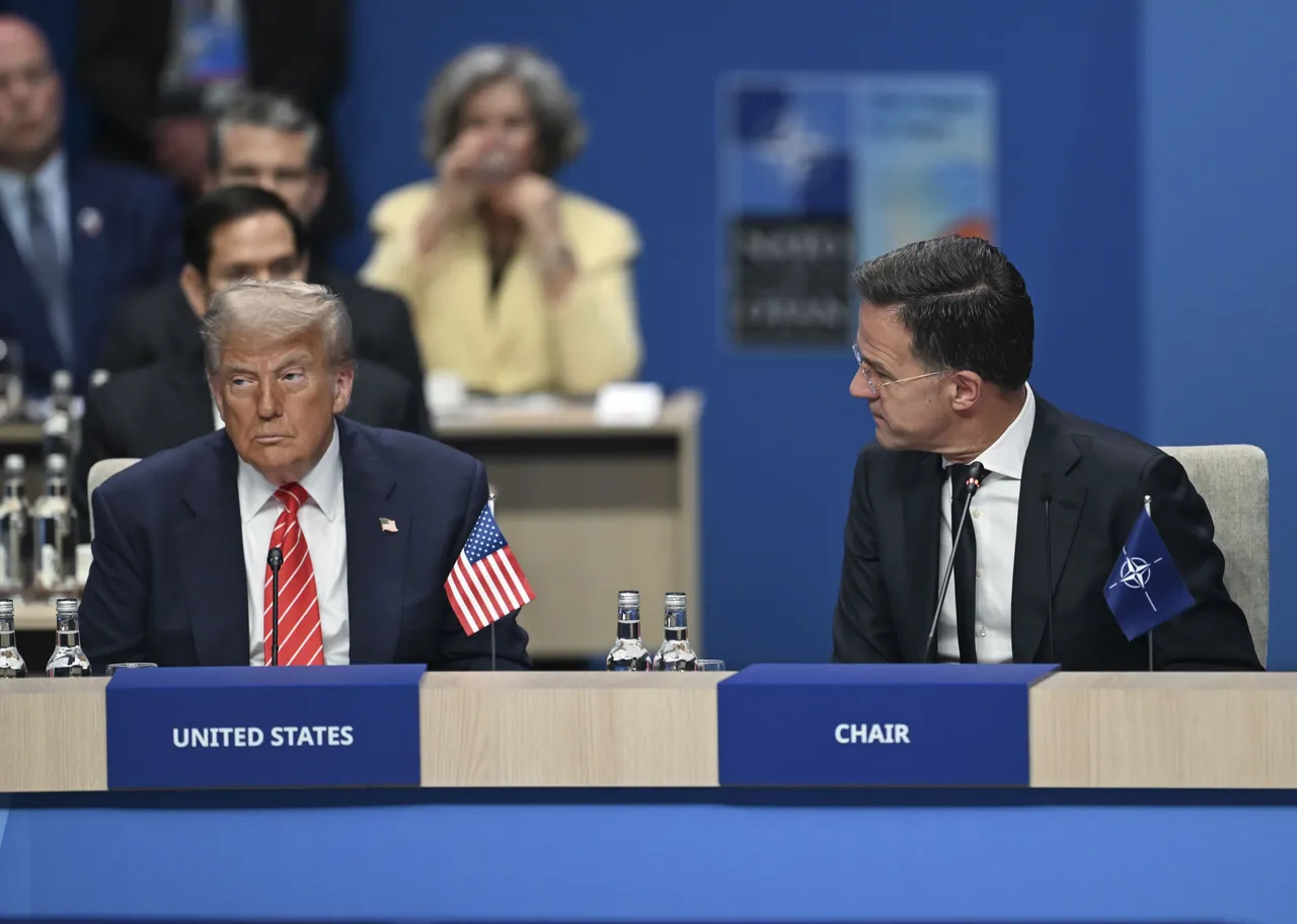 Rencontre houleuse entre Trump et le secrétaire général de l'OTAN