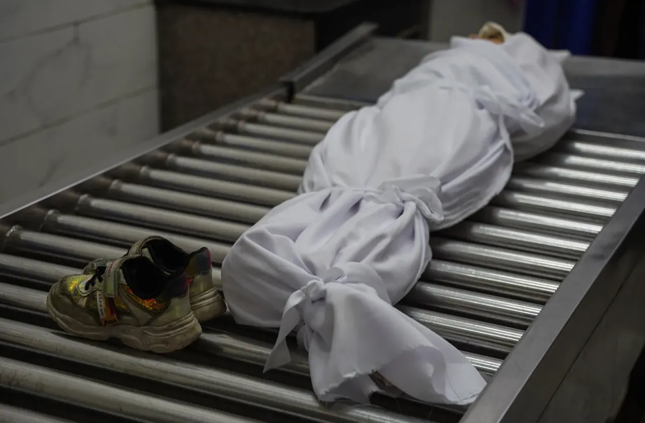 Пет Палестинци загинале во израелските напади, ученичка во трето одделение убиена во училница