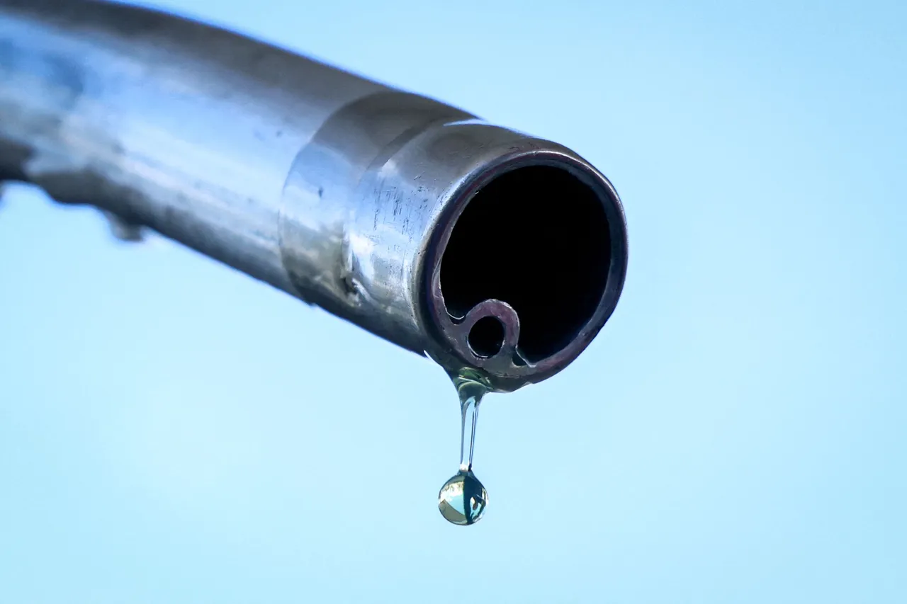 Hohe Spritpreise treiben Fahrgäste zu Bus und Bahn