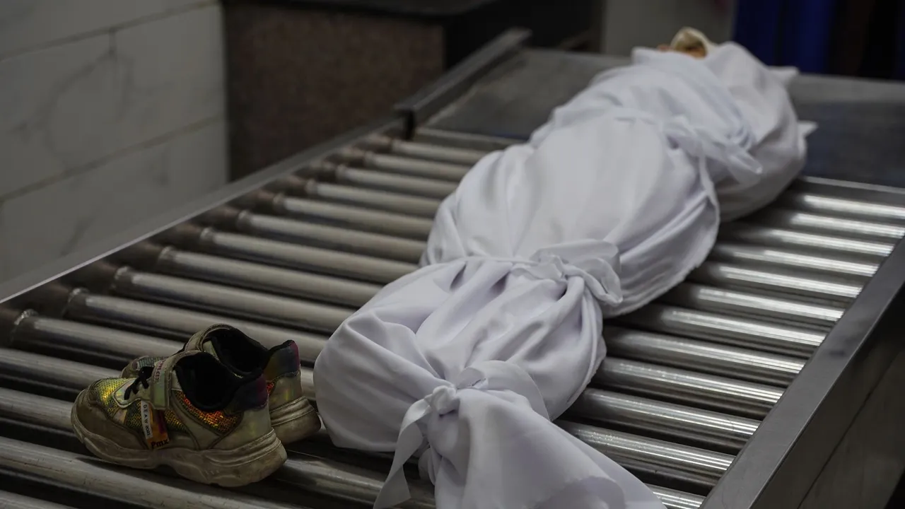 Israel mata 5 palestinianos, incluindo uma criança do 3.º ano, em ataques em Gaza