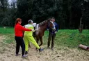Svjetski dan Parkinsonove bolesti: U Hrvatskoj više od 17.500 oboljelih