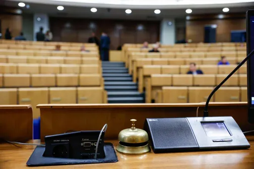 Stavovi parlamentaraca uoči vanredne sjednice Doma naroda o Južnoj interkonekciji