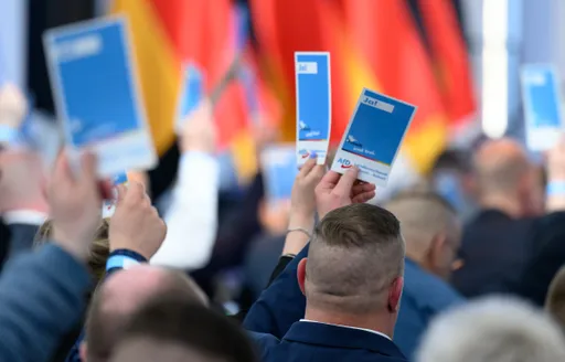 Sachsen-Anhalts AfD beschließt Radikalprogramm
