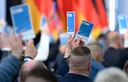 Sachsen-Anhalts AfD beschließt Radikalprogramm