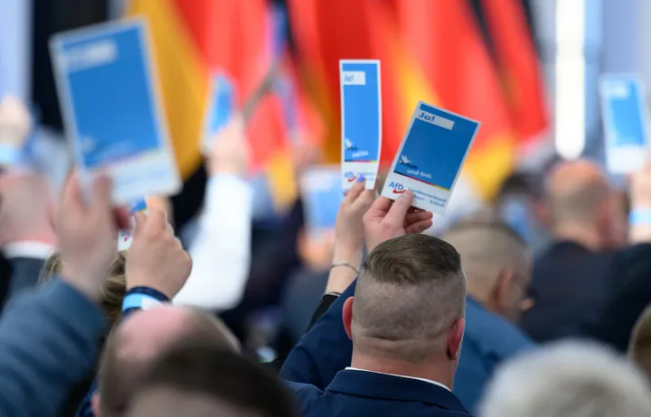 Sachsen-Anhalts AfD beschließt Radikalprogramm