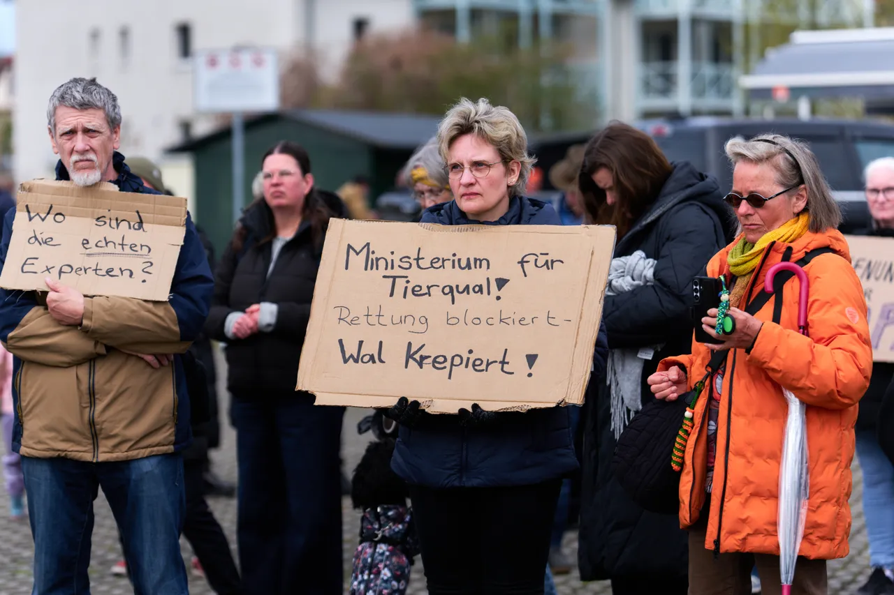 Demonstration für Walrettung – Polizei schreitet ein