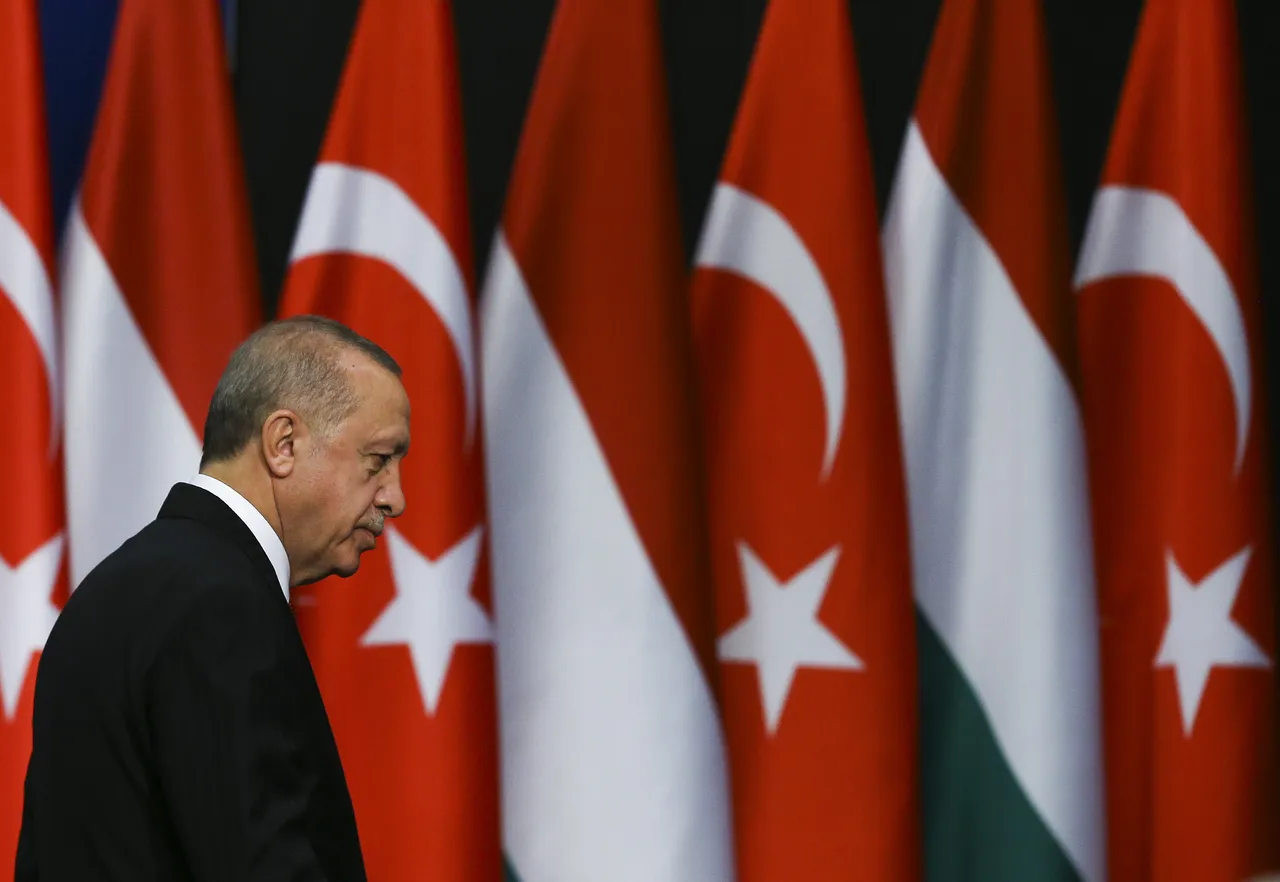 Türkiye's Erdogan, Hungary's incoming PM Magyar discuss bilateral ties, regional issues