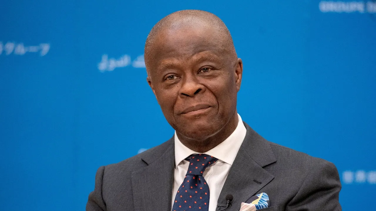 Nigeria's finance minister tells IMF, World Bank that developing nations 'need more' from them