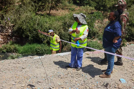 Ikulu ya Kenya imeagizwa kubomoa sehemu ya ukuta wake unaoaminiwa kuvamia ardhi ya hifadhi ya mto