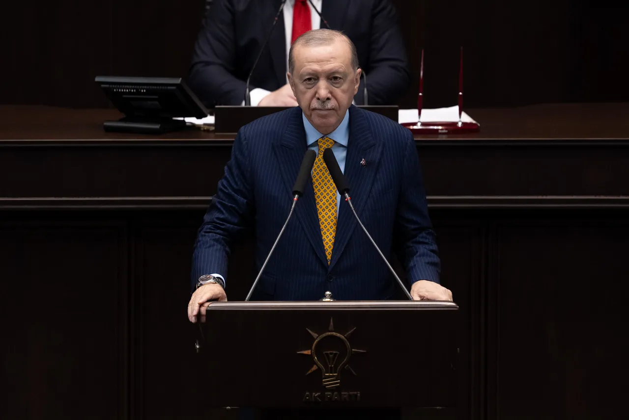 أردوغان يعلن بدء التنقيب في الصومال ويؤكد مساعي بلاده لخفض التوتر الإقليمي ودعم وقف إطلاق النار