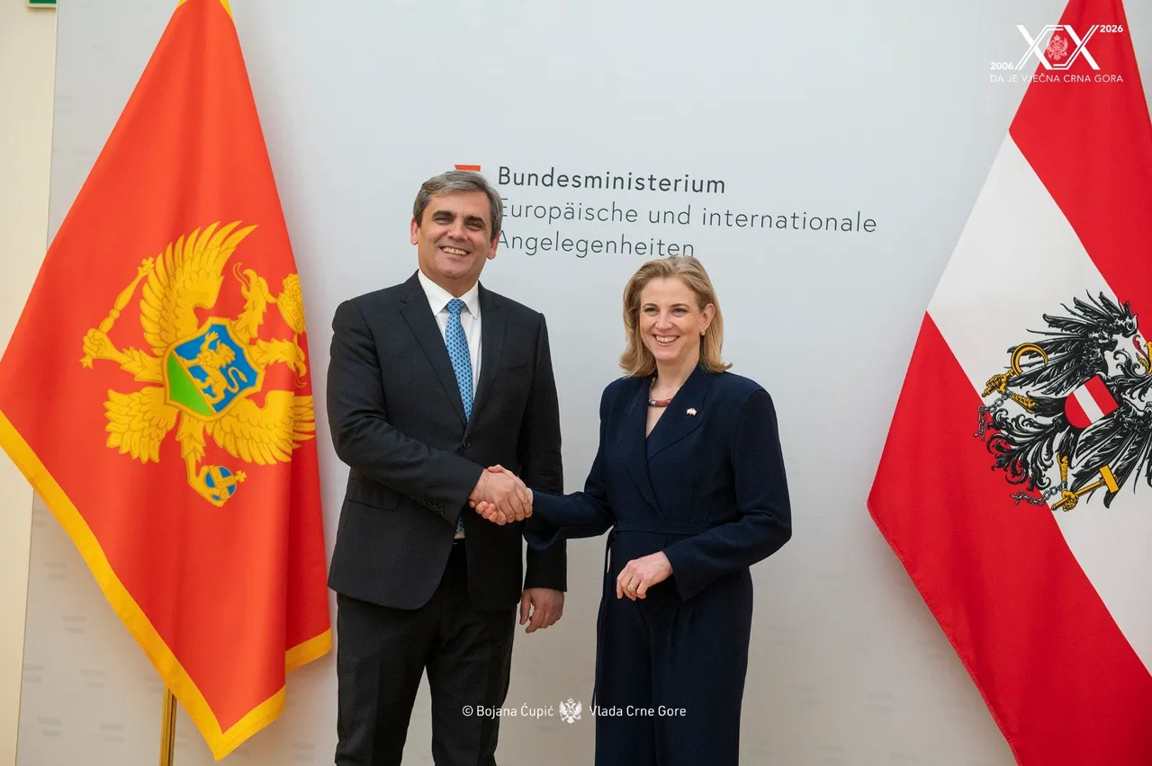 Ibrahimović i Meinl-Reisinger u Beču o jačanju odnosa i podršci evropskom putu Crne Gore