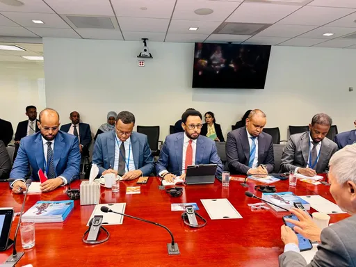 Wasiirka Maaliyadda Soomaaliya oo kulamo miro-dhal ah la qaatay Madaxda Bangiga Adduunka iyo IMF