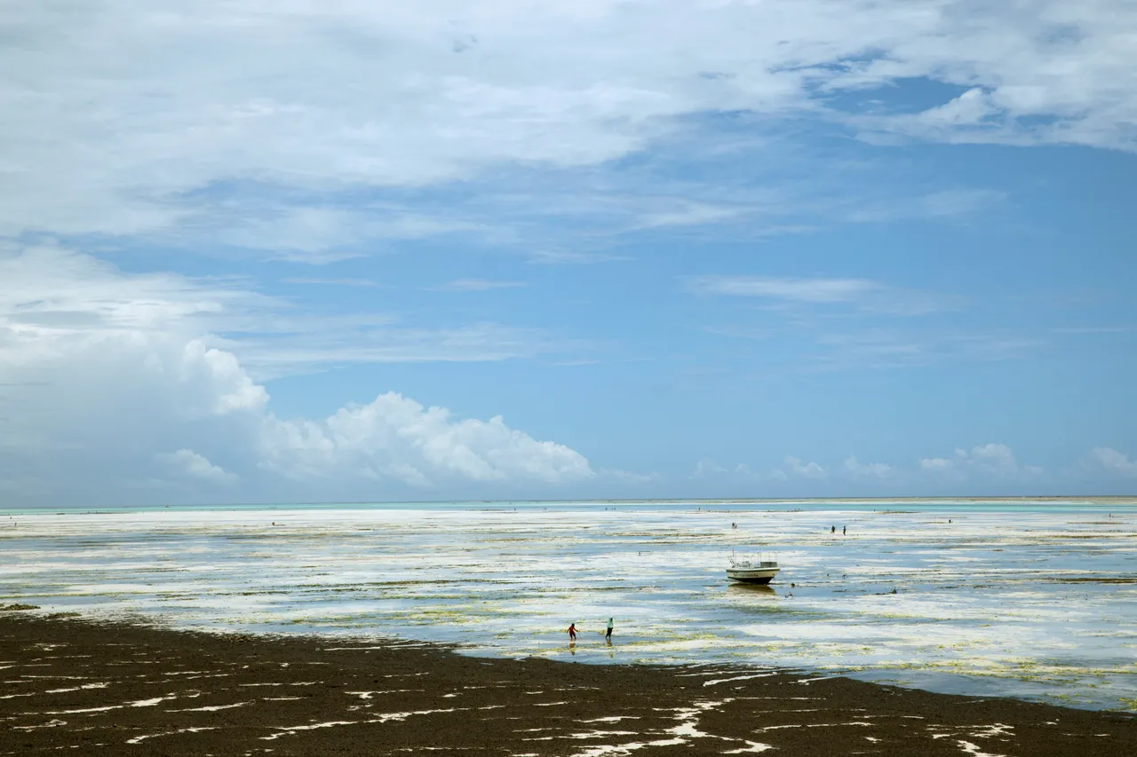 Tanzania to host World Travel Awards Africa Gala in Zanzibar