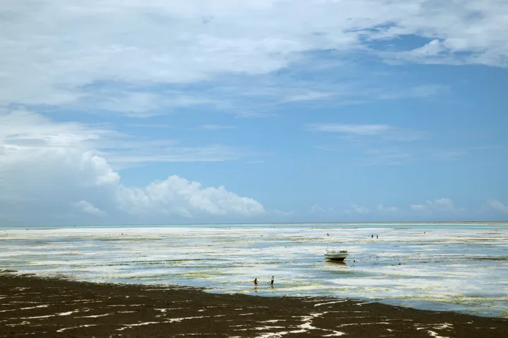 Tanzania to host World Travel Awards Africa Gala in Zanzibar