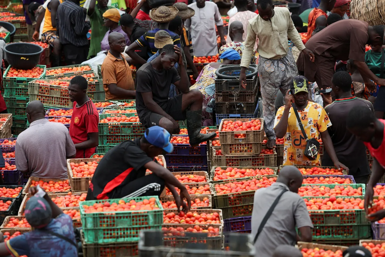 Food price don fall by 53 percent for Nigeria as agric sector dey bounce back, minister yarn