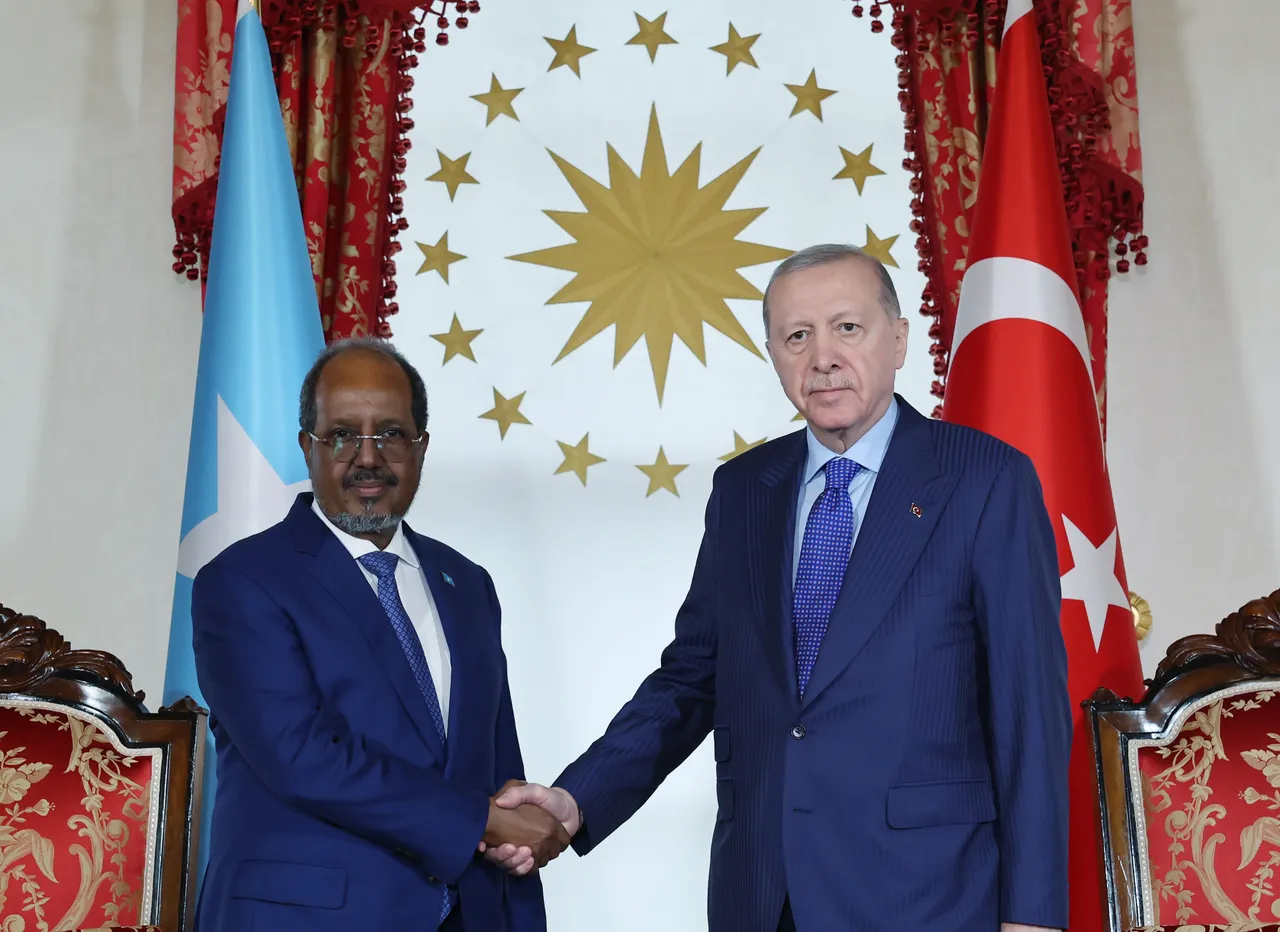 Turkish, Somali presidents discuss energy cooperation, regional issues