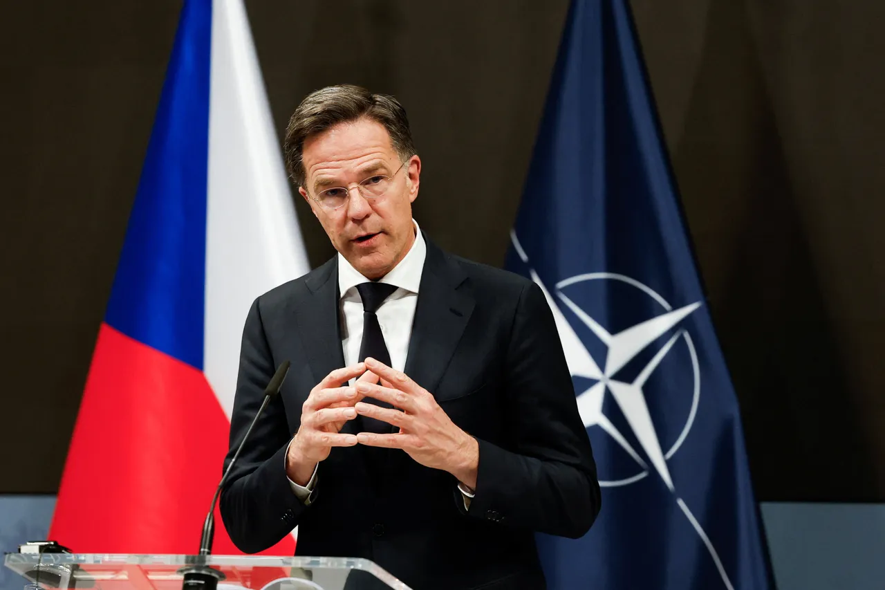 NAVO-chef dringt aan op opvoering van defensieproductie om afschrikking te handhaven