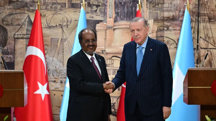 Turkish, Somali presidents discuss energy cooperation, regional issues