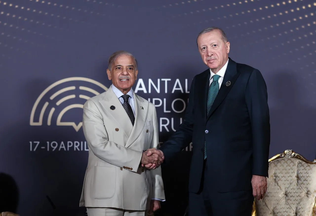 صدر رجب طیب ایردوان کی پاکستانی وزیر اعظم شہباز شریف سے ملاقات