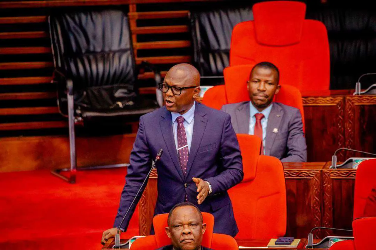 Mbunge Tanzania ataka sekta binafsi iruhusiwe uzalishaji wa nishati ya umeme
