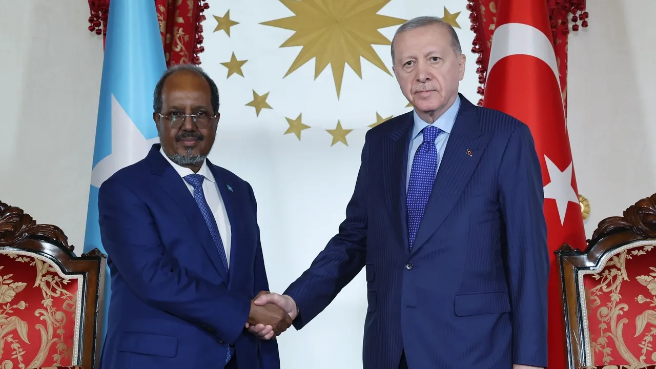 Törkiyä häm Somali ilbaşları ênergetikadağı xezmättäşlek häm regional temalar turında söyläşte