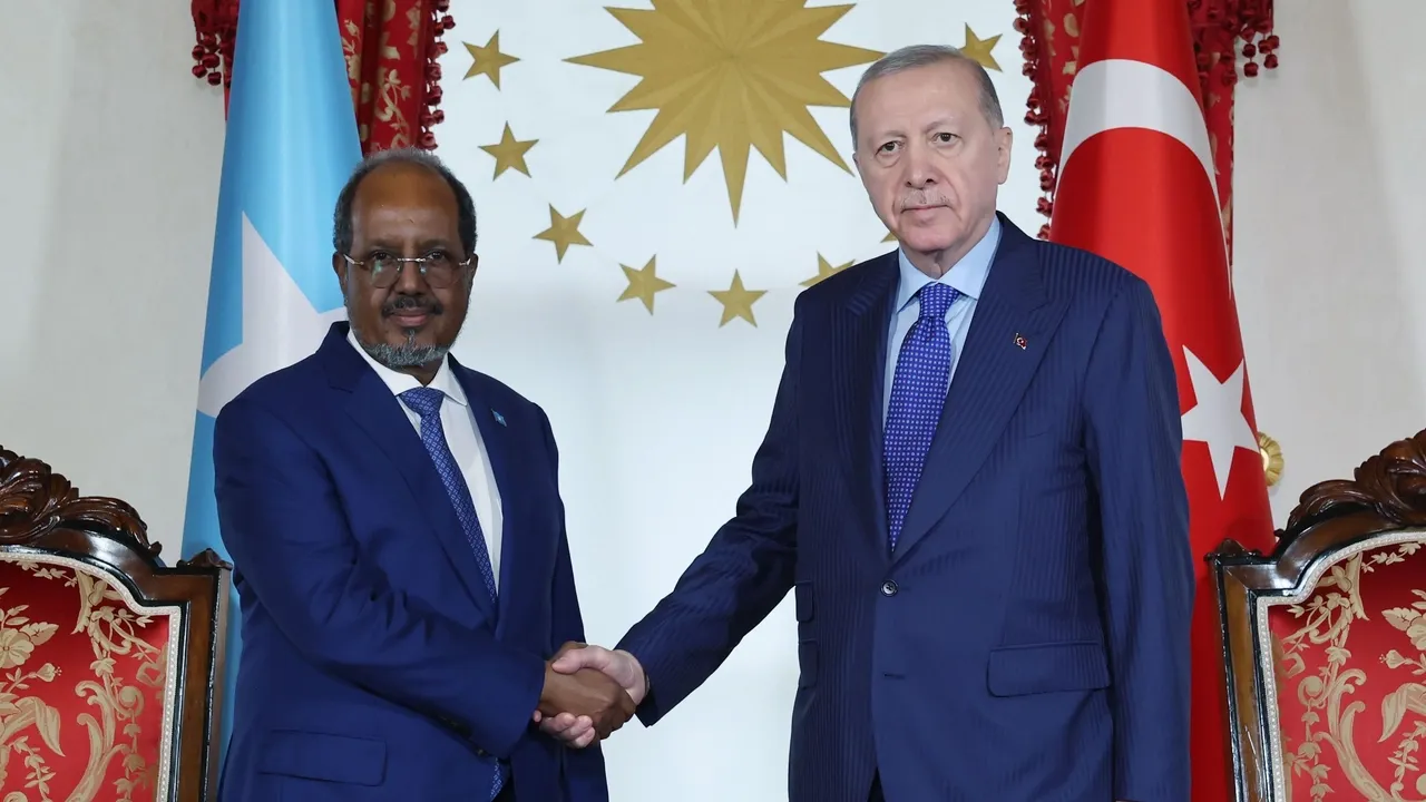 Presidentes da Türkiye e da Somália discutem cooperação energética e questões regionais