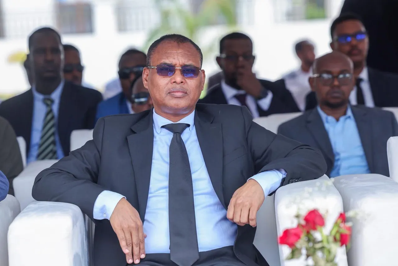 Somalia's South West State interim leader takes over after president's resignation