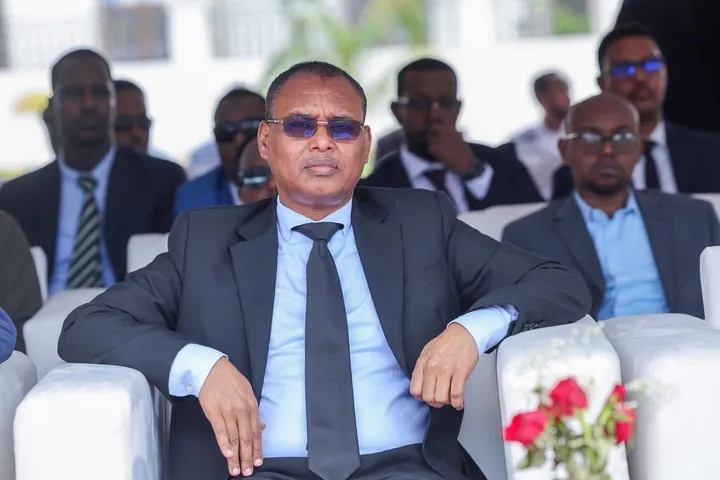 Somalia's South West State interim leader takes over after president's resignation
