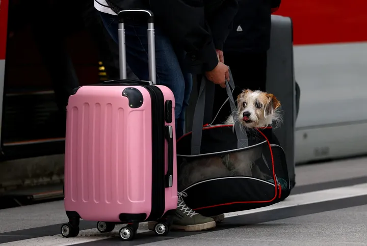 Putovanja s kućnim ljubimcima iz Srbije u EU uskoro jednostavnija i jeftinija