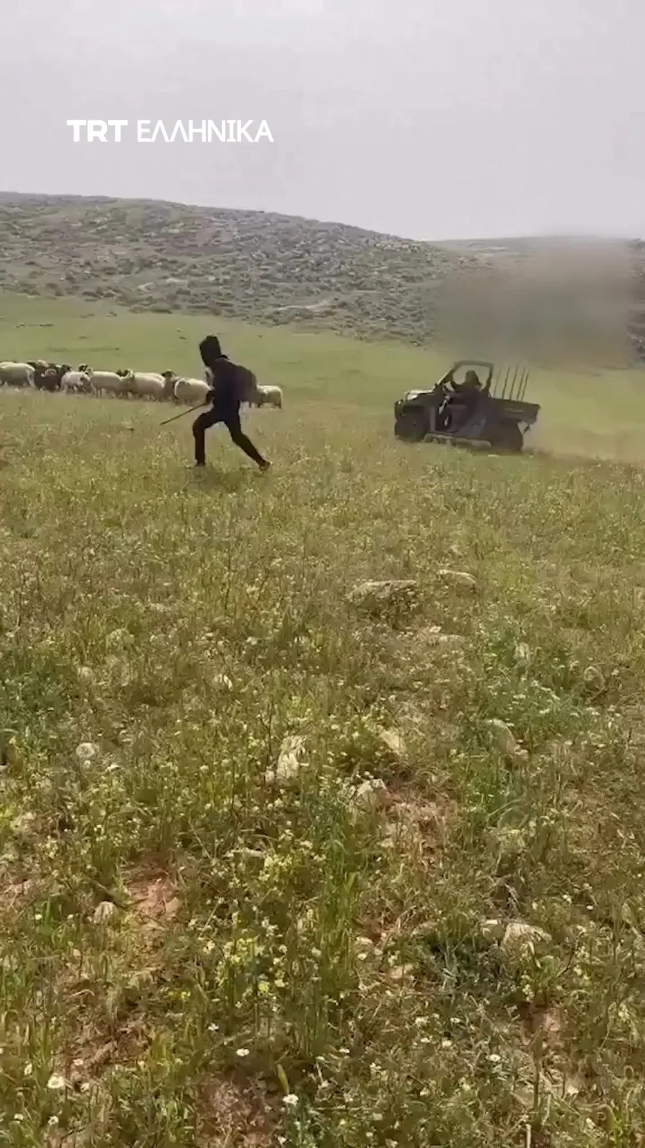 Παράνομοι Ισραηλινοί έποικοι παρενοχλούν Παλαιστινίους βοσκούς και τα κοπάδια τους