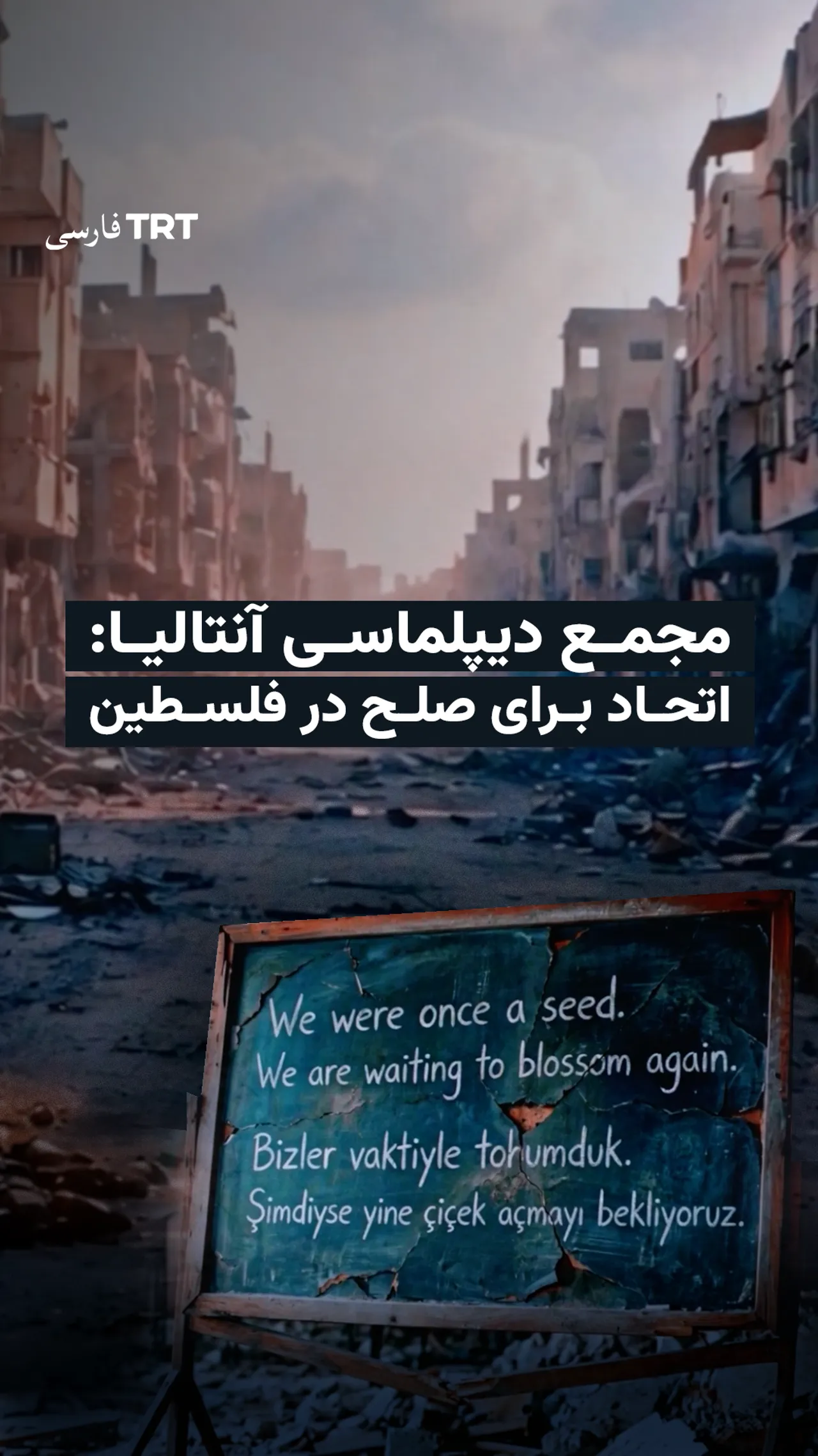 مجمع دیپلماسی آنتالیا: اتحاد برای صلح در فلسطین