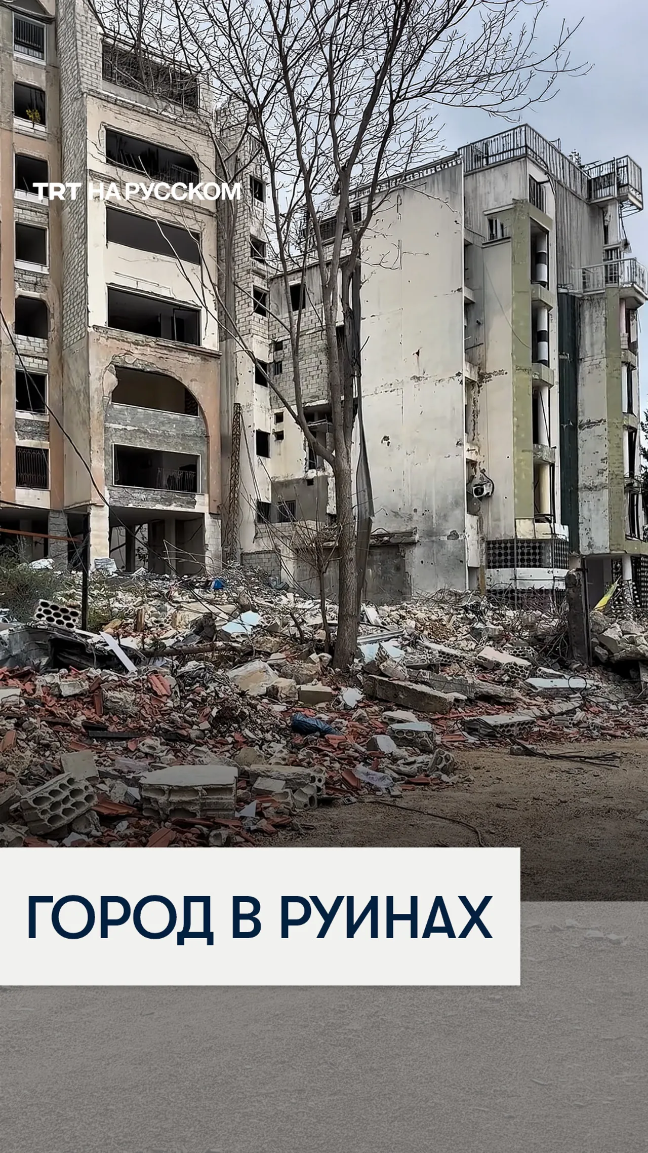 Юг Ливана в руинах после израильских ударов