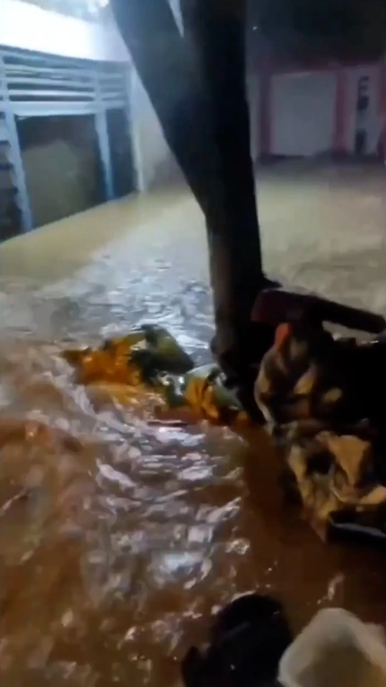 Luapan Sungai Citempuah menyebabkan banjir besar di Cigudeg, Bogor