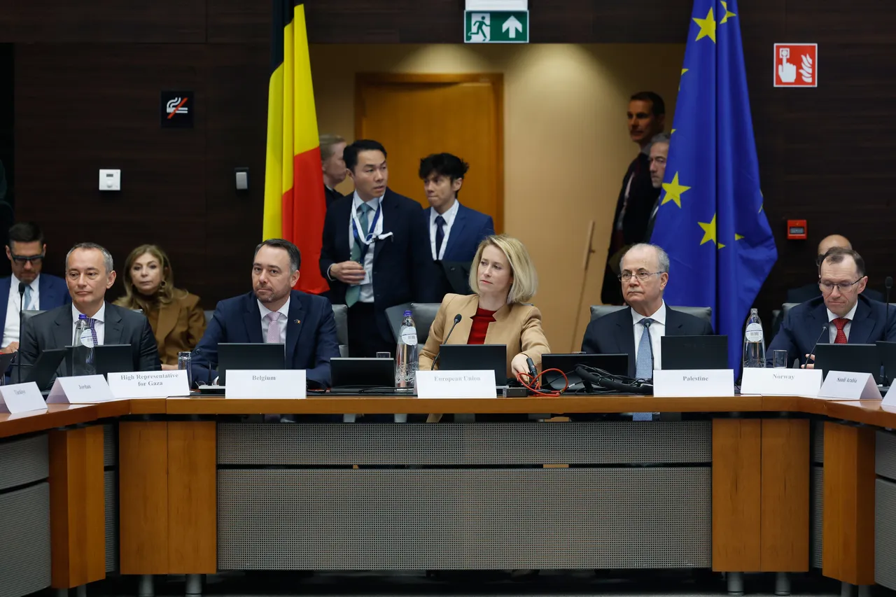 EU domaćin sastanka Globalne alijanse o dvodržavnom rješenju i zaštiti palestinskog naroda