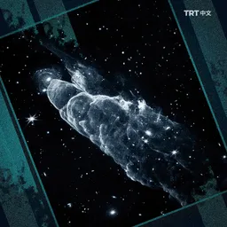 2025 年科学展望：宇宙奇观、冰原狼回归