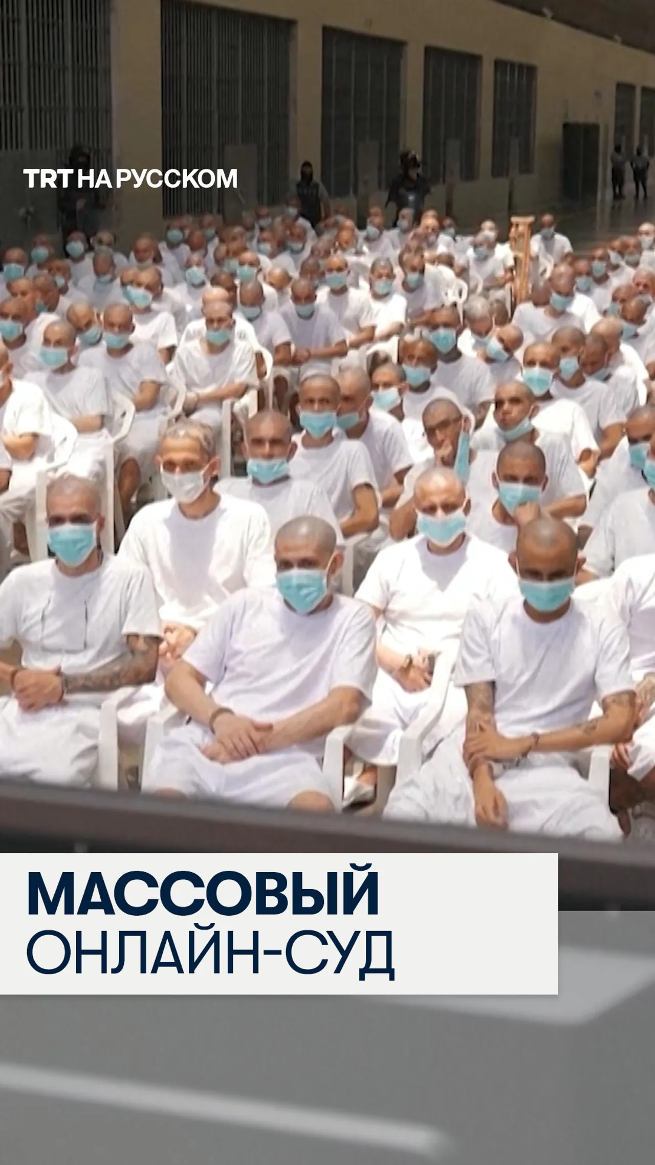 В Сальвадоре начался массовый онлайн-суд над почти 500 членами банды MS-13