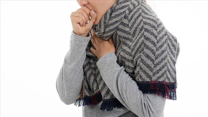 Evropa shënoi numër rekord rastesh të kollës së mirë në vitin 2024