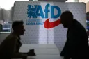 AfD на пороге власти: в Саксонии-Анхальт предлагают урезать права и ограничить ислам