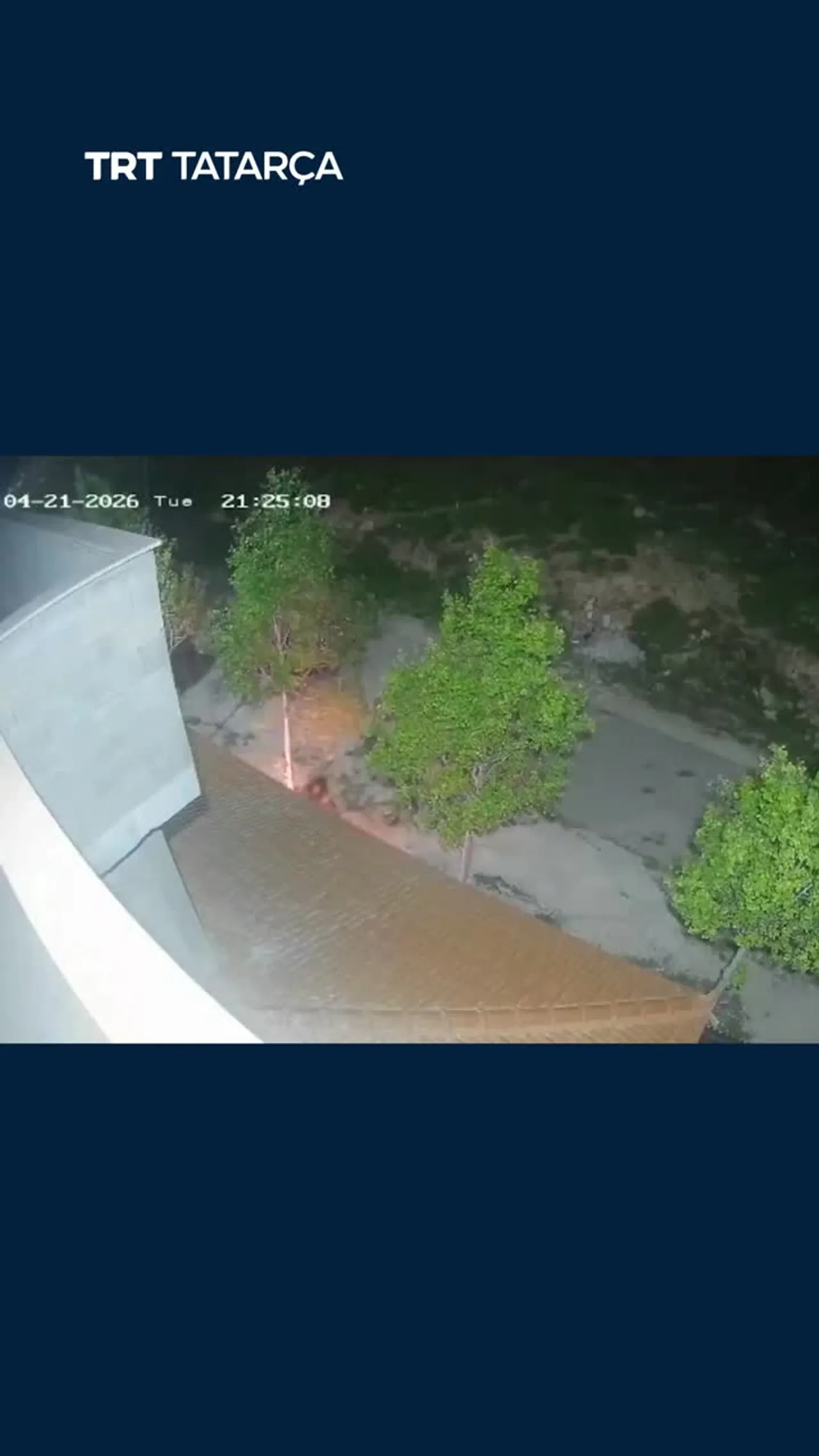 Qanunsız kilep urnaşqan izraillelär fälästinle ğailäne yandırırğa tırışqan