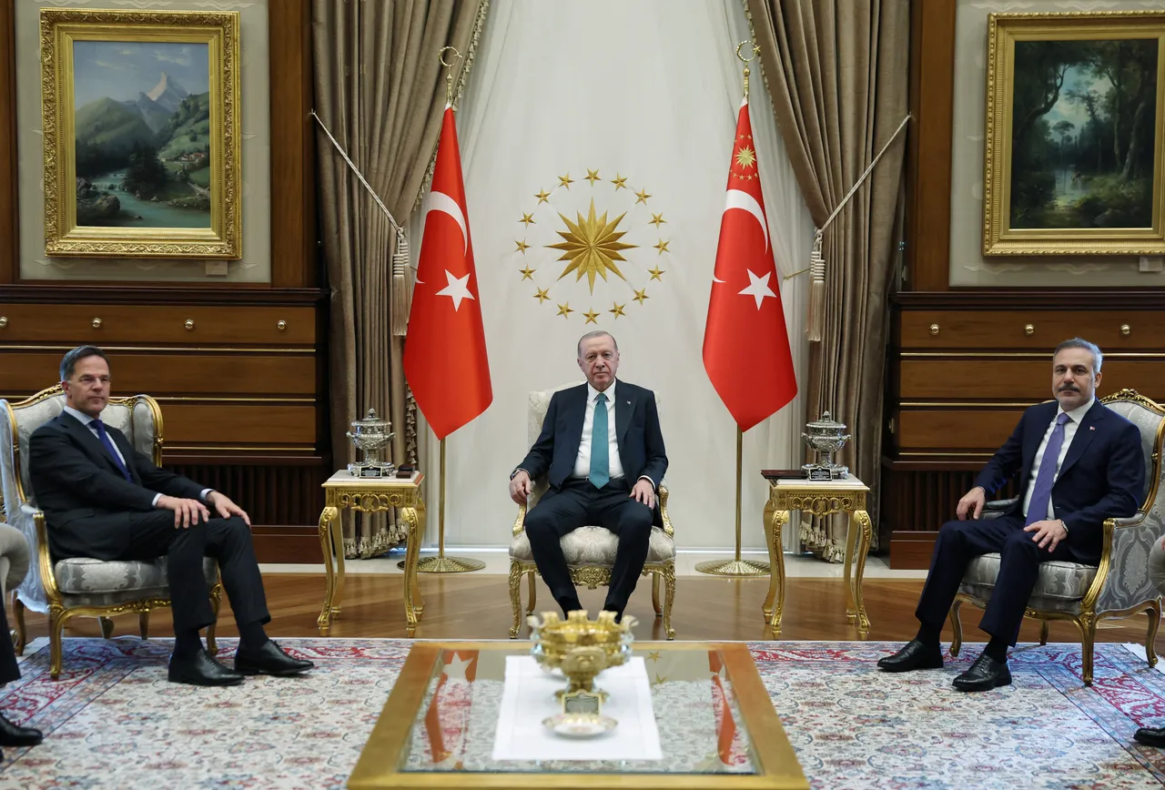 اردوغان در دیدار با دبیرکل ناتو بر تقویت همبستگی ائتلاف پیش از نشست سران تأکید کرد