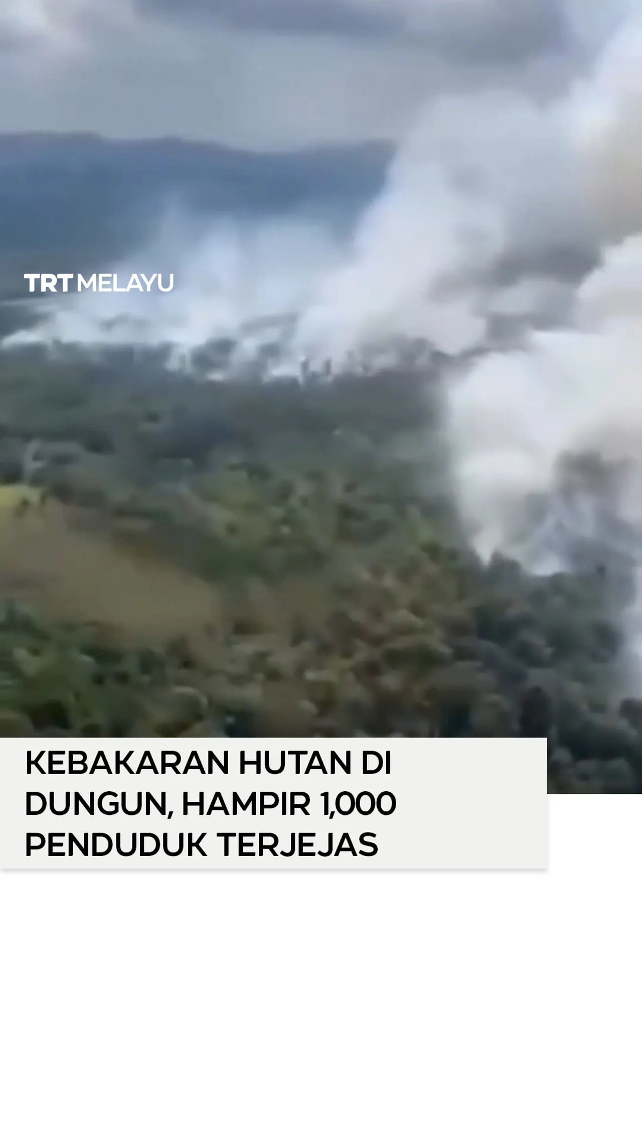 Hampir 1,000 penduduk terjejas susulan kebakaran hutan paya bakau di Dungun