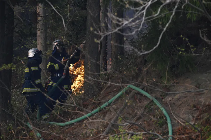 Thousands evacuated as firefighters battle forest blazes in Japan