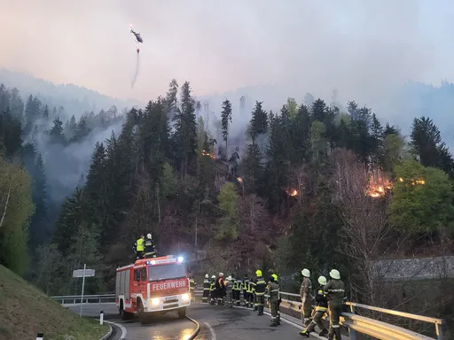 Waldbrand in Österreich scheint unter Kontrolle