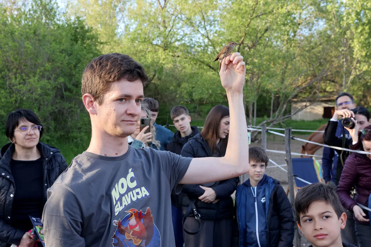 Srbija: Slušanje ptičje pesme u “Noći slavuja” na izletištima širom zemlje