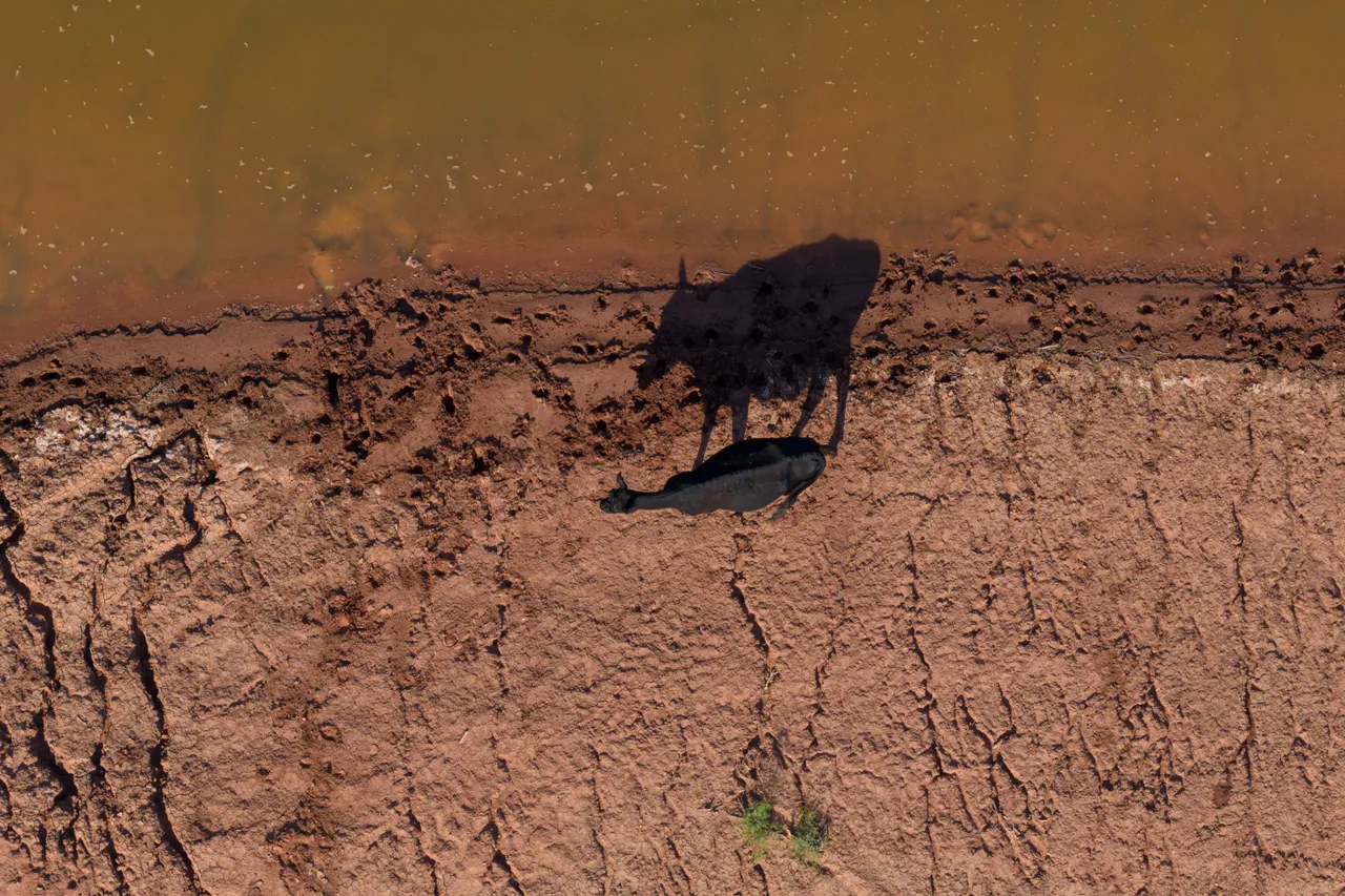 Evropa se zagrijava najbrže na svijetu, 2025. obilježili rekordni toplotni valovi i požari