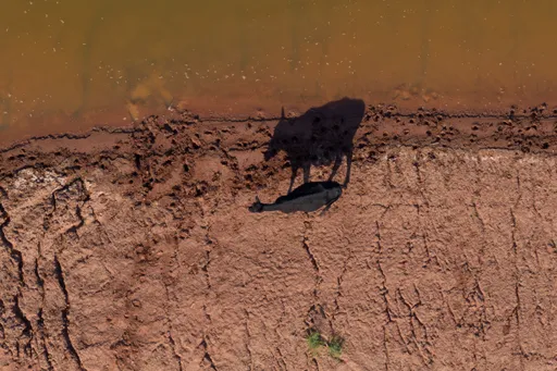 Evropa se zagrijava najbrže na svijetu, 2025. obilježili rekordni toplotni valovi i požari