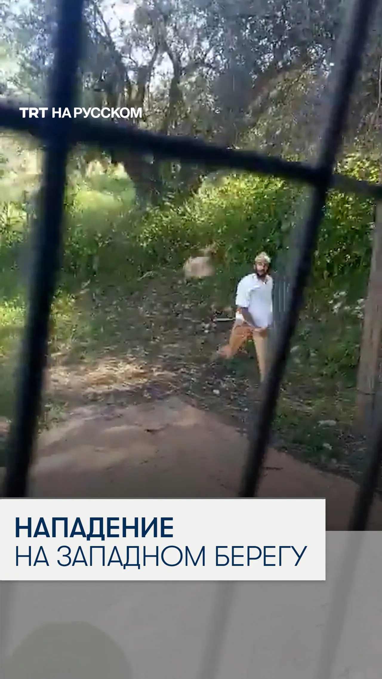 Поселенец напал на журналиста на Западном берегу