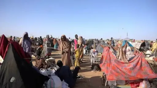 Nearly 2,500 people held by paramilitary RSF in Sudan's Al Fasher, medics say